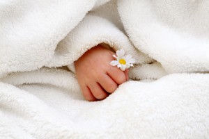 Alles Gute Zum Baby Bilder